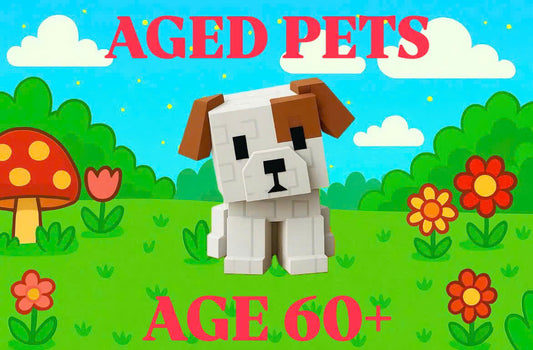 AGE 60+